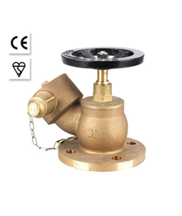 Válvula de aterrizaje oblicua con bridas